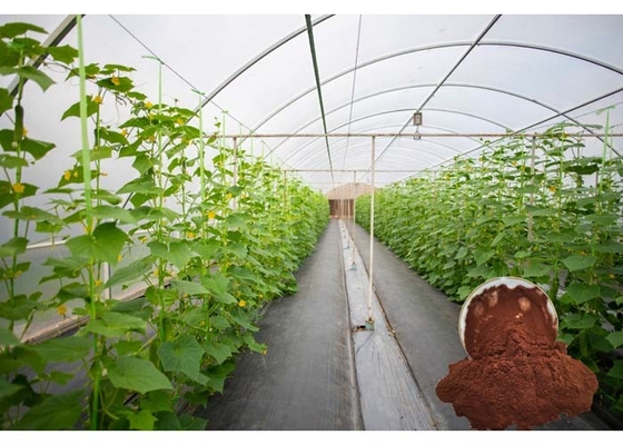 Foliar Spray Fipro 85/16 Biostimulant Powder Fertilizer For Plants